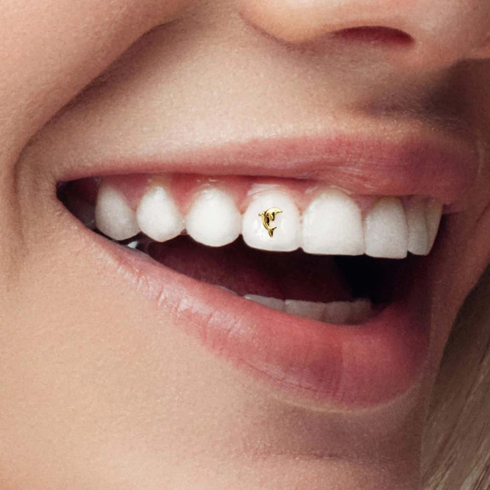 Dolphin Tooth Gem